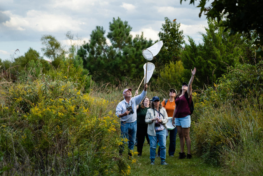 A group of volunteers look up toward a monarch butterfly just out of reach