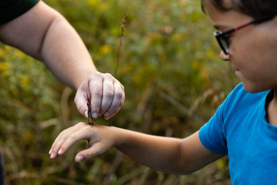 A child holds his arm out while an educator delicately places a butterfly on his hand