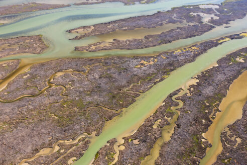 Greenish colored water cuts through marshes.