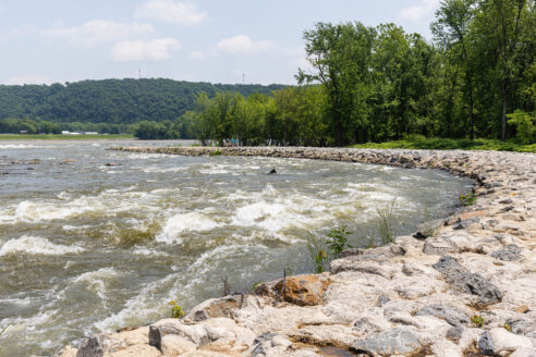 A constructed fish passage channel lined with stone arcs back toward the Susquehanna River