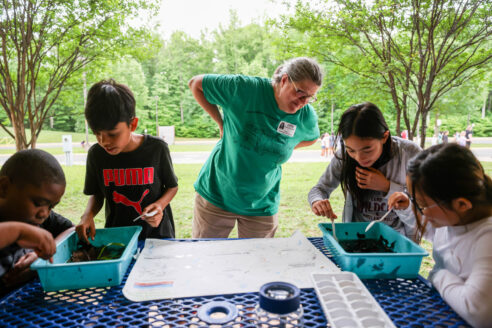 Kim Lowther of the Prince William Soil and Water Conservation District guides fifth grade students participating in a benthic macroinvertebrate investigation using leaves collected from nearby streams at Buckland Mills Elementary School in Gainesville, Va., on May 17, 2024.