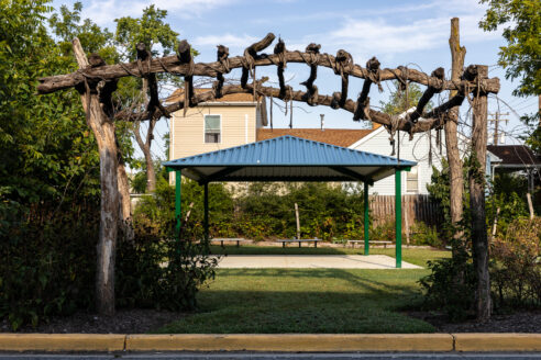 Food forest entrance with a wooden overhang and rows of fruit trees.