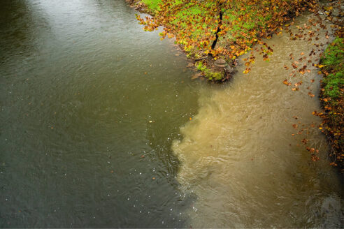 Two streams meet at a confluence, one bringing in significant amount of sediment. The stream with all the sediment is a starkly different color.