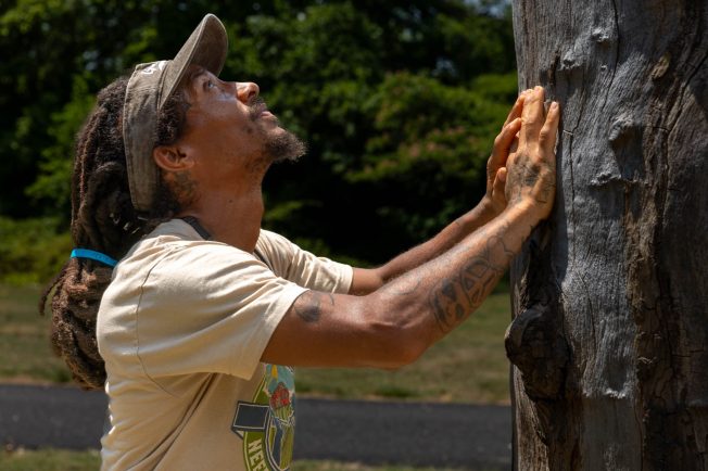 Kenneth Bridgers places two hands on a tree trunk while looking toward its crown.