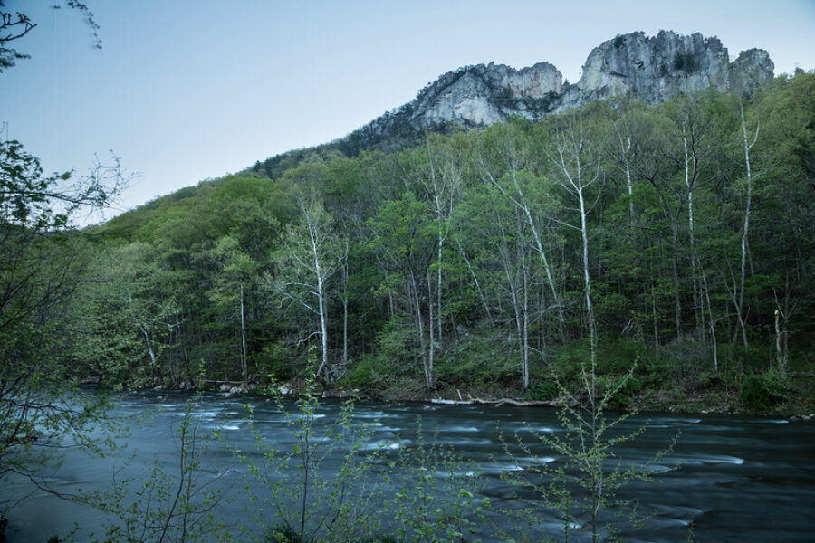 Craggy rocks rise above a stream with trees.