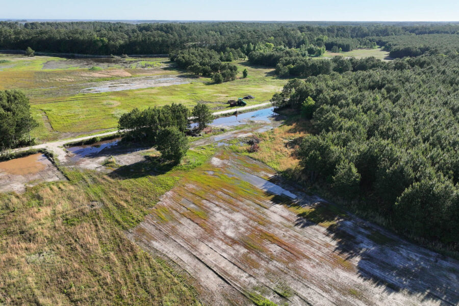An aerial view of wetlands being restored. A dirt road runs through the middle of the photo with flooded lands on one side of it. Green trees are along the right side and in the distance; the rest of the scene is green and brown wetlands.