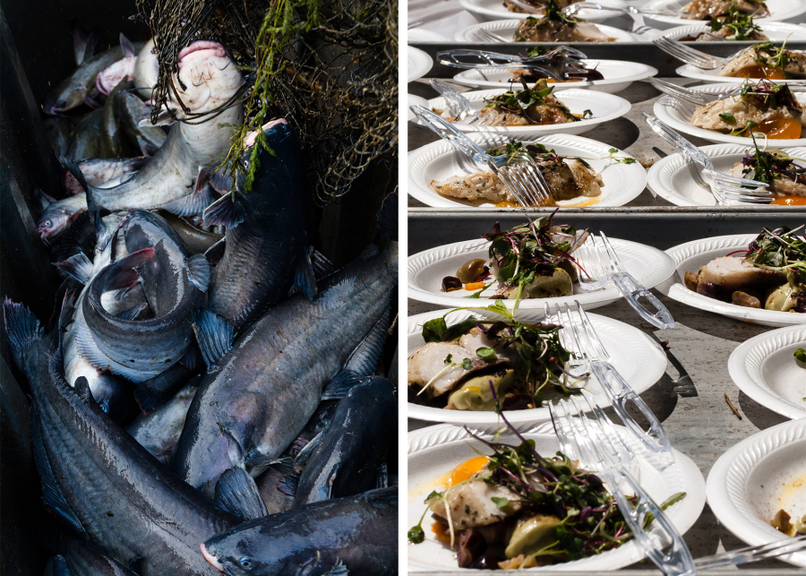 Fish being dumped out of a fish pot on the left and plated fish on the right