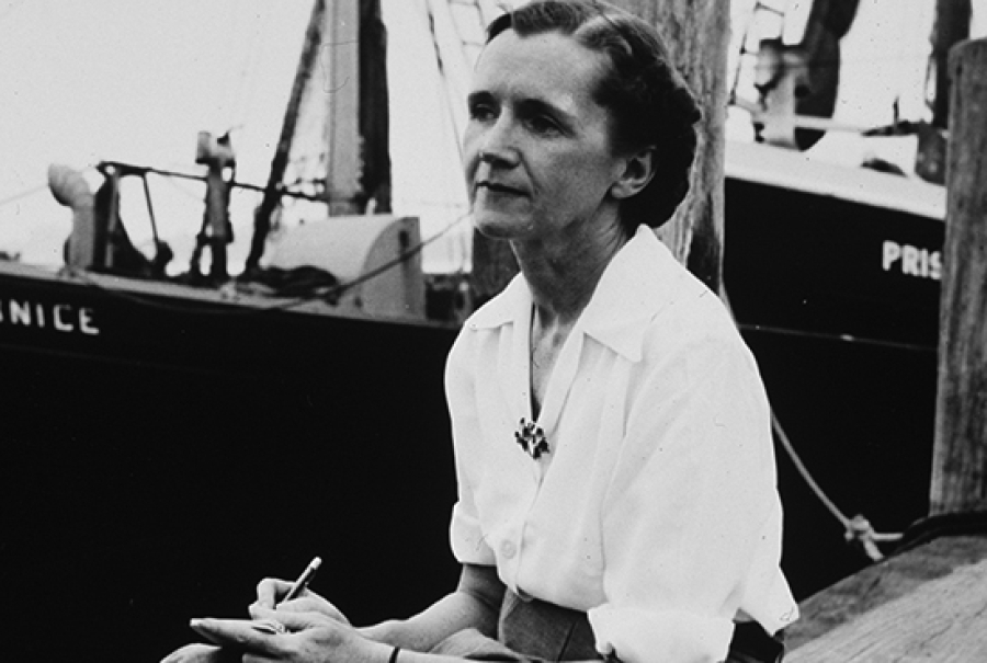 Women in white blouse with her hair up is sitting in a room.