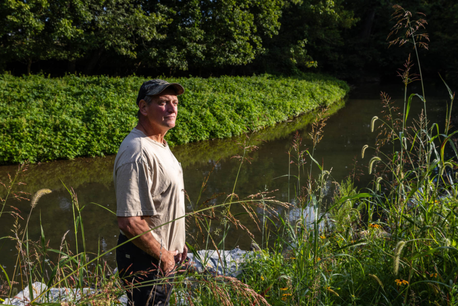 Mike Dorman stands looking into the distance on the bank of Smith Creek, tall grasses in front and wetland plants on the far side.