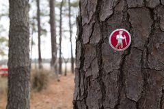 Small image of A small sign with a symbol of a hiker native to a tree.