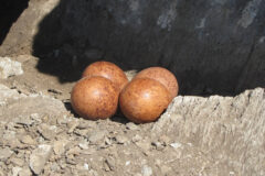 Small image of Foud red-brown peregrine falcon eggs sit on a rocky ledge.