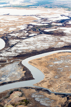 A wetland restoration project appears as a muddy patch in an expansive salt marsh.