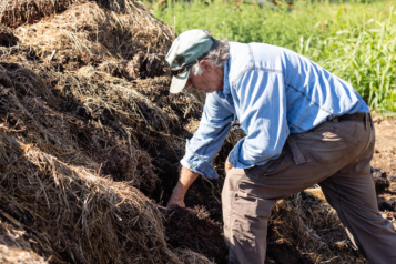 Mike reaches his arm into a brown pile of compost.