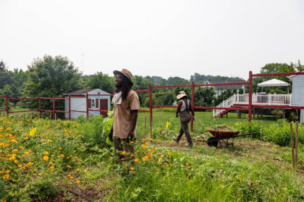 Two farmers stand by the flower garden.