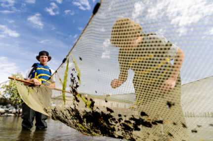 St. Michaels Middle High School students Wyatt Genrich, right, and Sylis Shawacre drag a seine net through shallow water along the shoreline of the Choptank River during a field trip to the University of Maryland Center for Environmental Science (UMCES) Horn Point Laboratory.