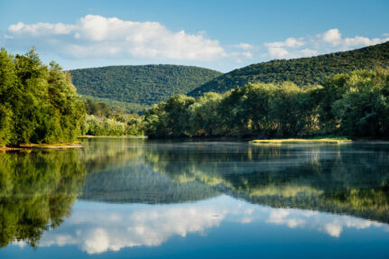 A clean river surrounded by forest land.