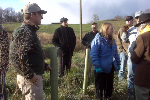 Forestry workgroup members stand amid planted trees in a forest buffer.