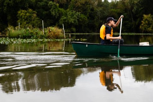 A woman wearing a dark baseball cap and bright yellow life vest paddles a canoe through calm water and past a small wetland, which is protected by a fence.