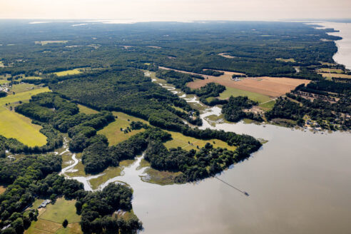 Aerial view of forest and parkland with water.