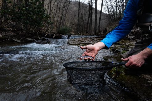 Man holds a small fish in one hand and net in the other.