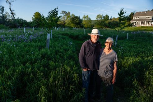 Older couple stands in a field with tall green grass and young trees growing.