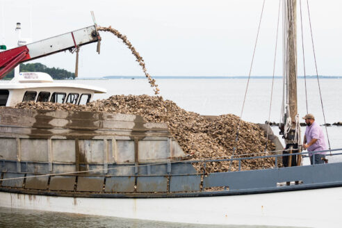 A crane loads oyster shells onto a boat.