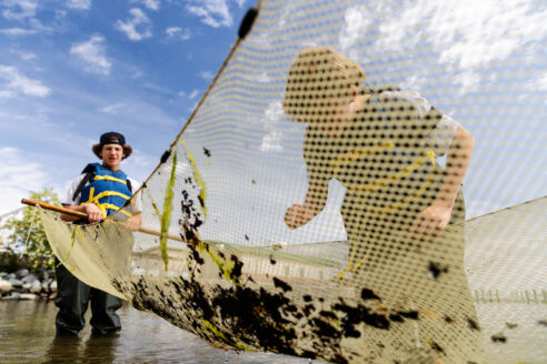 St. Michaels Middle High School students Wyatt Genrich, right, and Sylis Shawacre drag a seine net through shallow water along the shoreline of the Choptank River during a field trip to the University of Maryland Center for Environmental Science (UMCES) Horn Point Laboratory.