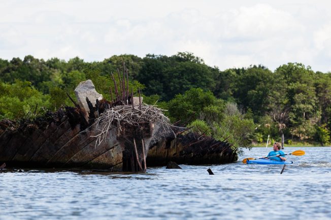 A kayaker approaches a shipwreck at Mallows Bay.