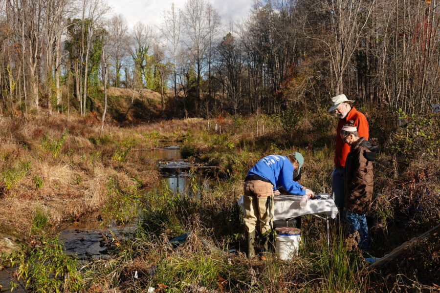 Staff from the Rivanna Conservation Alliance conduct stream monitoring for benthic macroinvertebrates along a tributary of Schenks Branch at the Botanical Garden of the Piedmont in Charlottesville, Virginia.