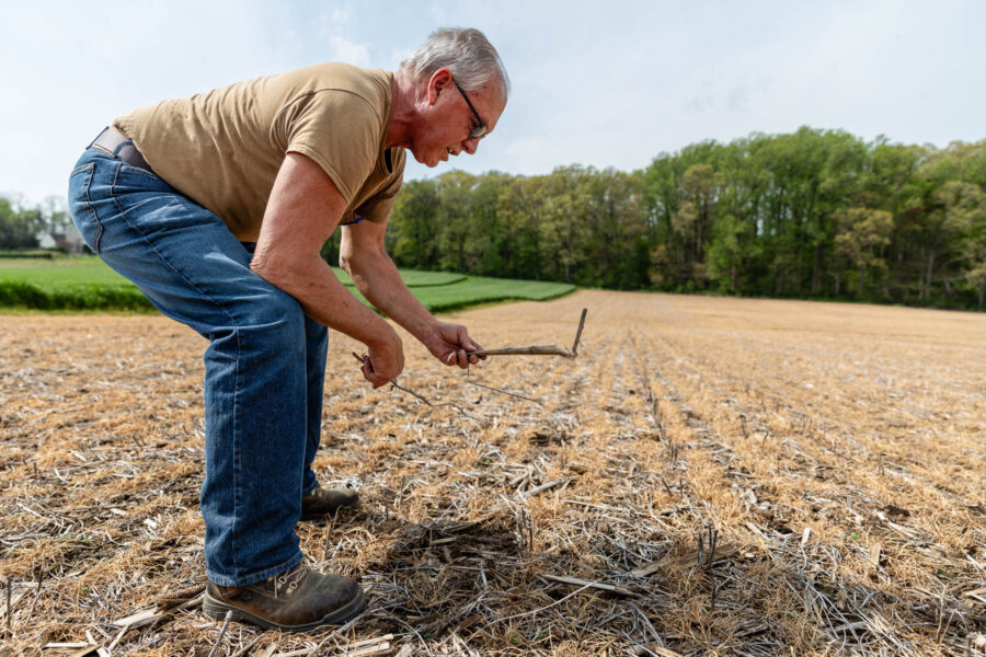 Roger bends down to observe part of his farm.
