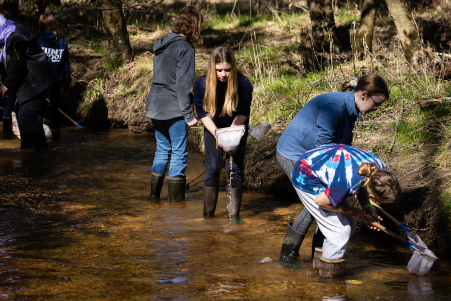 Students wade in a stream, using small hand nets to collect samples of macroinvertebrates.