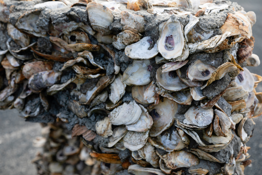 A structure made oyster shells and concrete.