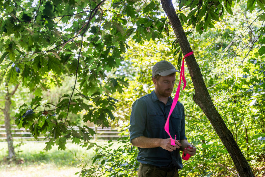 Will, wearing a brown hat and green shirt, ties marking string to a tree branch.