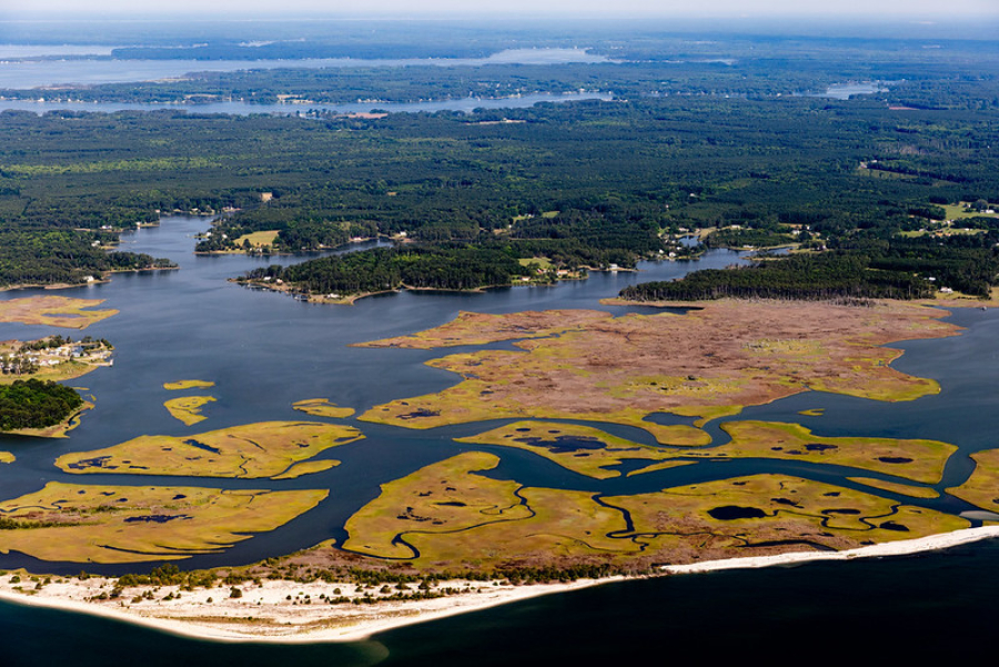 An aerial view of green, golden and brown wetlands.