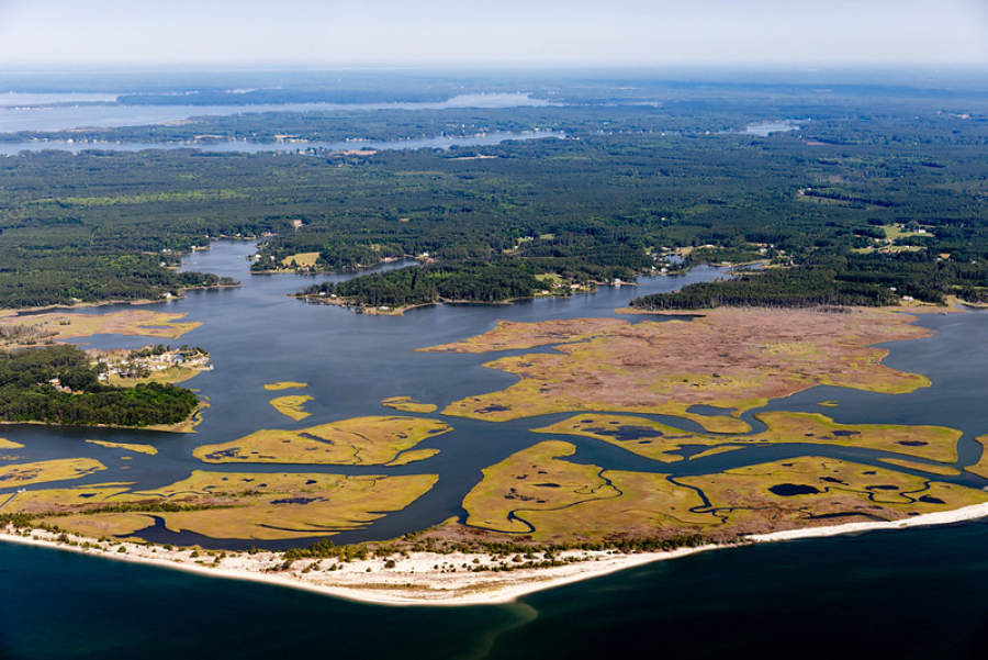 An aerial view of wetlands along a shoreline.