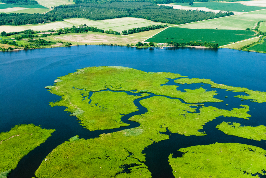 Aerial view of a large wetland area