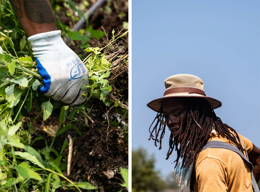 Left: Gloved hand grabs weeds Right: Woman with dreadlocks and a hat works on the farm.