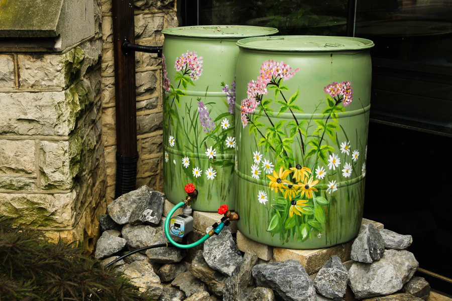 Two green rain barrels nexts to a downspout.