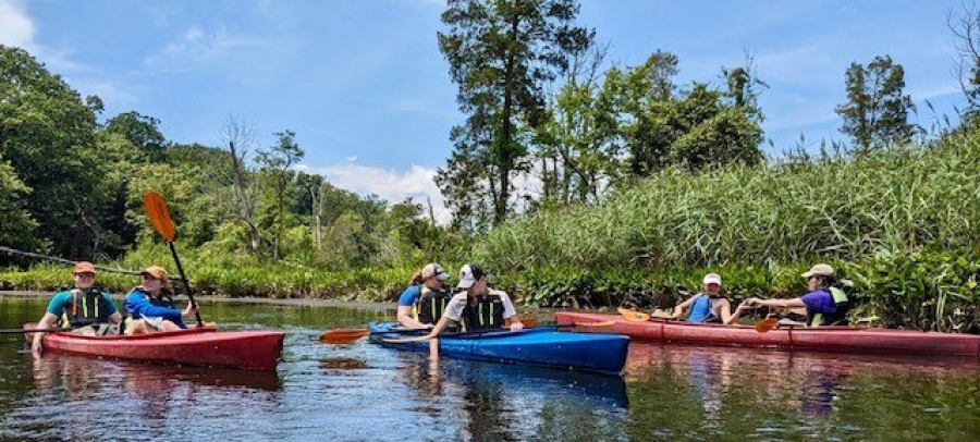 People in kayaks look down at the water.