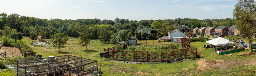 wide-view of the farm with crops and trees.