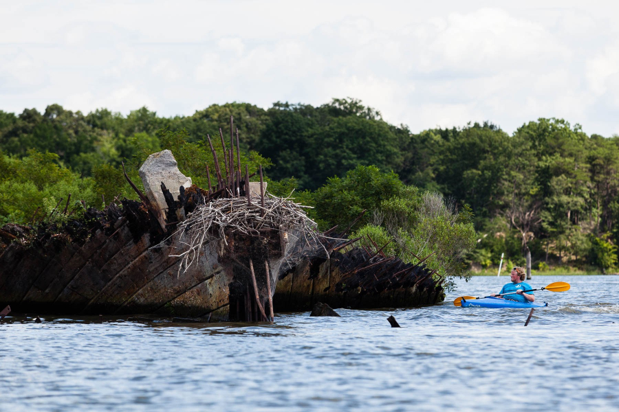 A kayaker approaches a shipwreck at Mallows Bay.