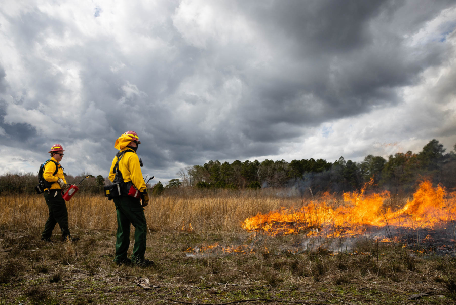 Two crew members stand next to a prescribed fire below a cloudy sky