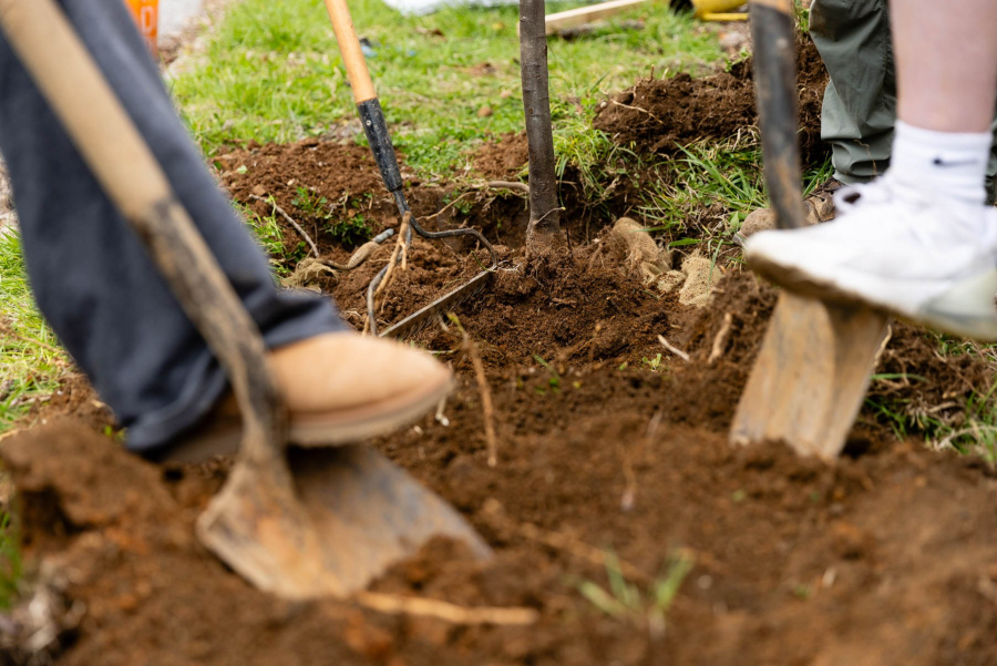 Feet with boots puts shovels into the ground.