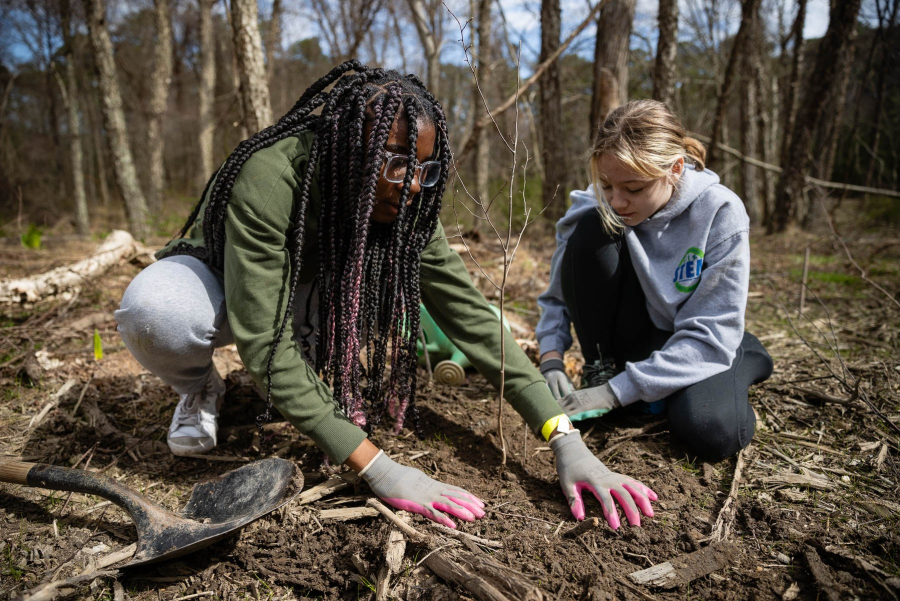 Two middle school students crouch around a small seedling they just planted.