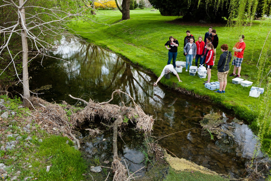 A group of high school students gather behind a teacher crouched and reaching into a slow-moving stream with sampling equipment.