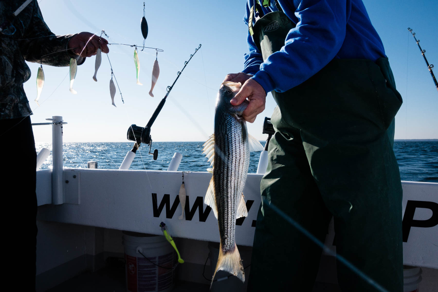 Two anglers on a boat who just caught a fish.