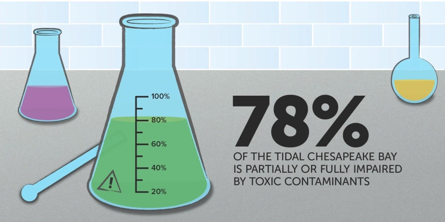 Infographic shows the amount of the Chesapeake Bay impaired by toxic contaminants.