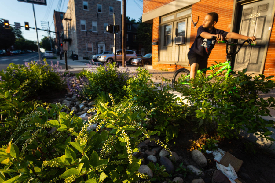 Boy on bikes stands by plants planted by a city street.