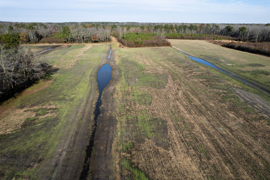 An aerial view of a farm field that is being converted to a forested wetland. The flat field is bordered by trees, and cut into three long segments by two channels filled with water.