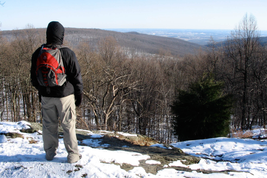 A photo of a bundled-up person looking out over forested mountains.